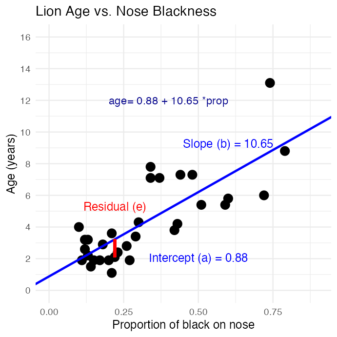 Scatterplot of lion age versus proportion of black on the nose with a fitted regression line, annotated with the intercept and slope values, the fitted equation, and a red segment illustrating one point's residual.
