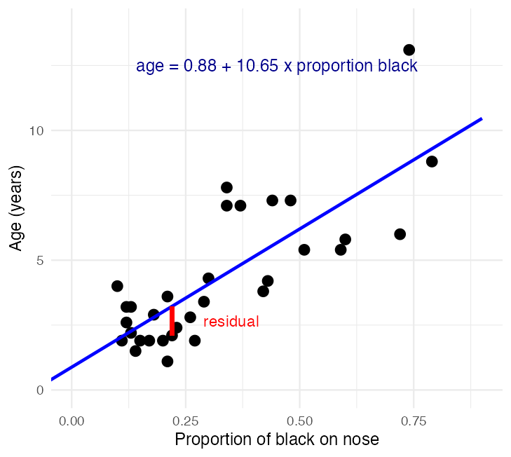 Scatterplot of lion age against proportion of black on the nose with the fitted regression line, annotated with the fitted equation and one point's residual drawn in red.