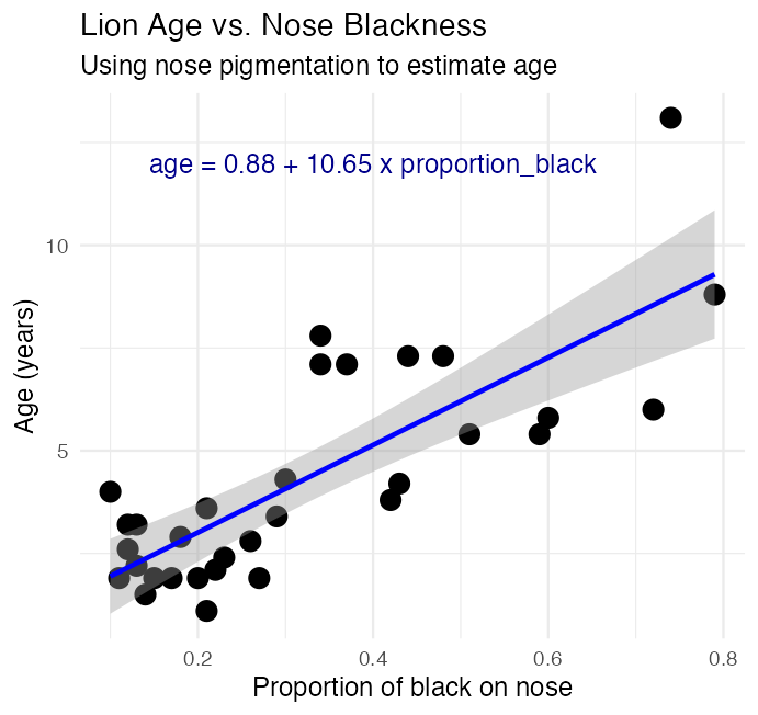 Scatterplot of lion age versus proportion of black on the nose with a fitted regression line and confidence band, annotated with the fitted equation, shown as context for predicting age from a given proportion black.