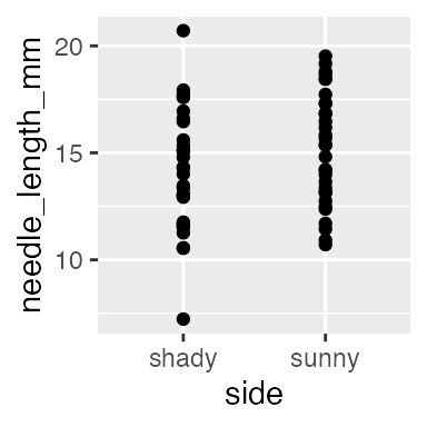 Scatterplot of pine needle length in millimeters for the shady and sunny sides of the tree, with individual points shown for each side.