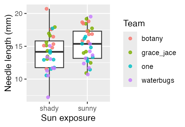 Boxplot of needle length by shady versus sunny side, pooling all 64 needles, with jittered points colored by team showing that the four teams occupy visibly different bands of needle length.