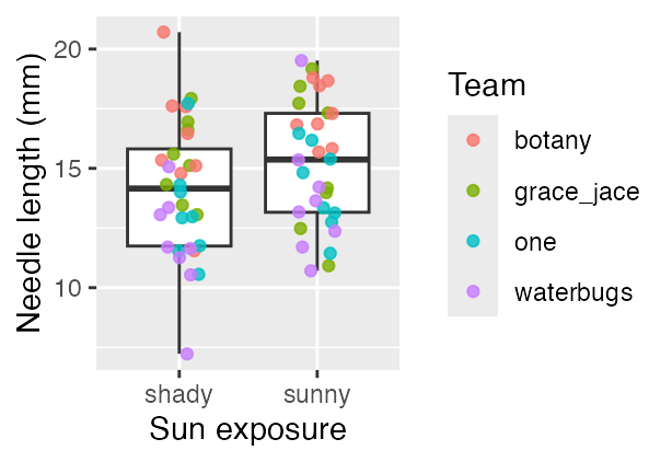 Boxplot of needle length by shady versus sunny side, pooling all 64 needles, with jittered points colored by team showing that the four teams occupy visibly different bands of needle length.