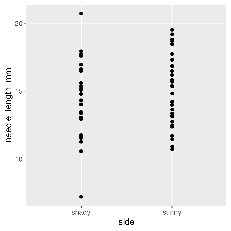 Scatterplot of pine needle length in millimeters by side of tree (side), with individual points shown for each side.