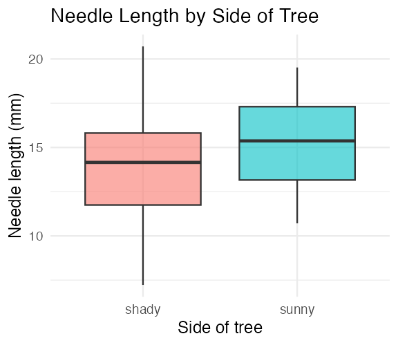 Boxplot of needle length by side of tree (shady vs. sunny), filled by side, with outlier points hidden. Titled 'Needle Length by Side of Tree'.