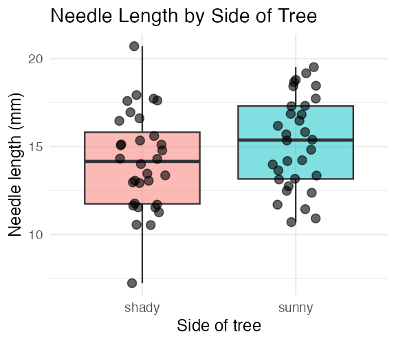 Boxplot of needle length by side of tree with individual jittered data points overlaid on top of each box, so every raw observation is visible alongside the summary.