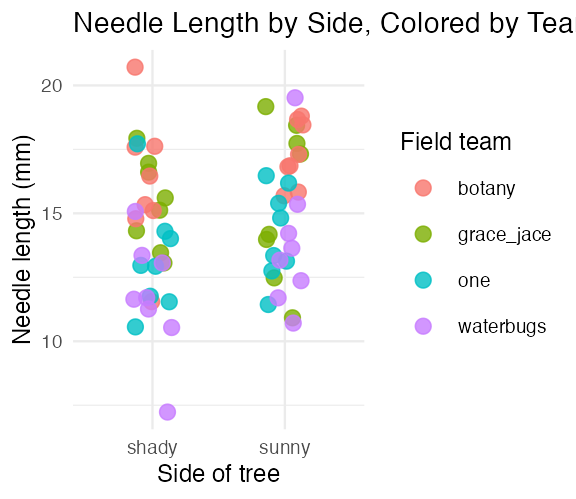 Jittered scatterplot of needle length by side of tree, with points colored by field team, titled 'Needle Length by Side, Colored by Team'.