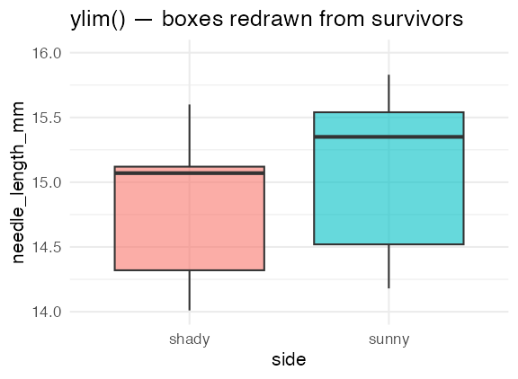 Boxplot of needle length by side with ylim used to restrict the axis to 14 to 16 mm, which silently removes every needle outside that range and redraws the boxes from the surviving rows only.