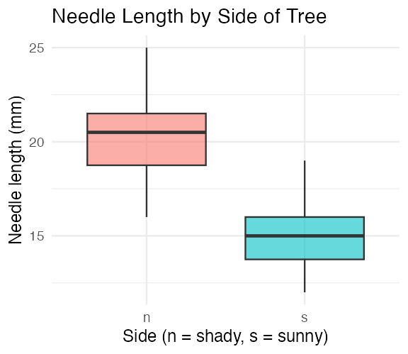 Boxplot of needle length by side of tree (shady vs. sunny), filled by side, with outlier points hidden. Titled 'Needle Length by Side of Tree'.