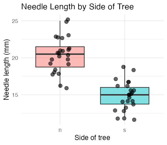 Boxplot of needle length by side of tree with individual jittered data points overlaid on top of each box, so every raw observation is visible alongside the summary.