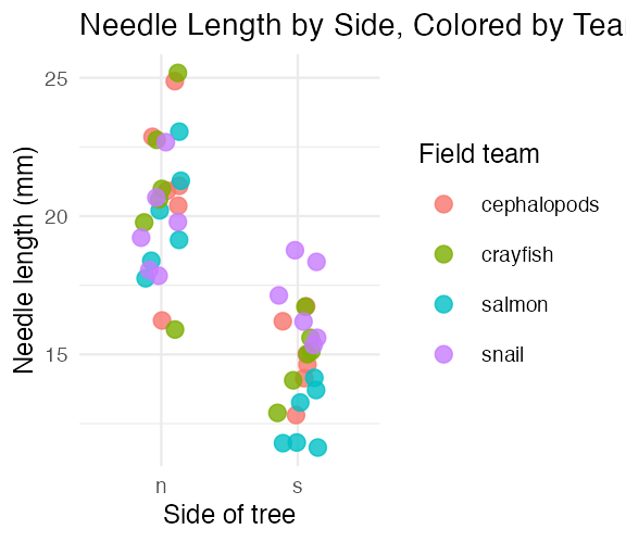 Jittered scatterplot of needle length by side of tree, with points colored by field team, titled 'Needle Length by Side, Colored by Team'.