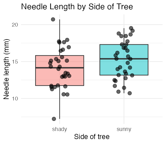 Boxplot of needle length by side of tree with individual jittered data points overlaid on top of each box, so every raw observation is visible alongside the summary.