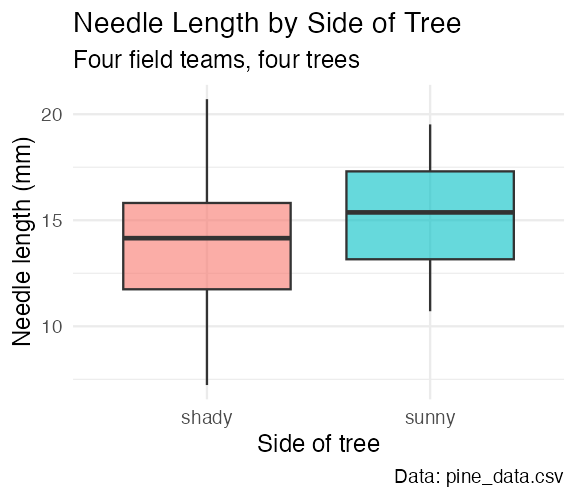 Boxplot of needle length by side of tree with a full title, subtitle, readable axis labels, legend title, and data-source caption added via labs().
