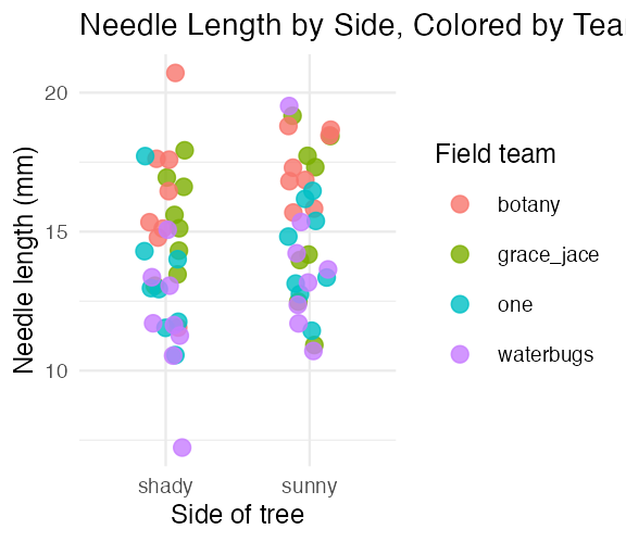 Jittered scatterplot of needle length by side of tree, with points colored by field team, titled 'Needle Length by Side, Colored by Team'.