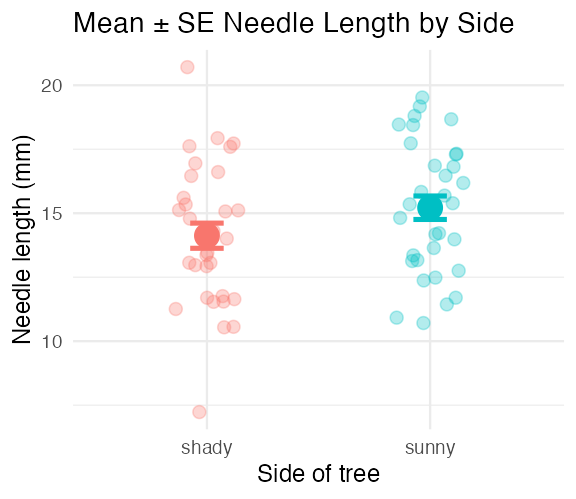 Scatterplot of jittered raw needle-length points by side of tree, with a large point marking the mean and an error bar showing ± 1 standard error for each side.