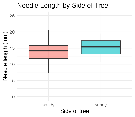Boxplot of needle length by side of tree with the y-axis set to run from 0 to 25 mm using coord_cartesian, so the two boxes sit in the upper half of the panel against a zero baseline.