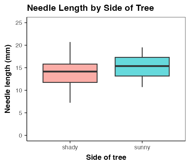 The needle length boxplot rendered with the custom theme_small function: white background, black panel border, bold axis titles, and no gridlines.