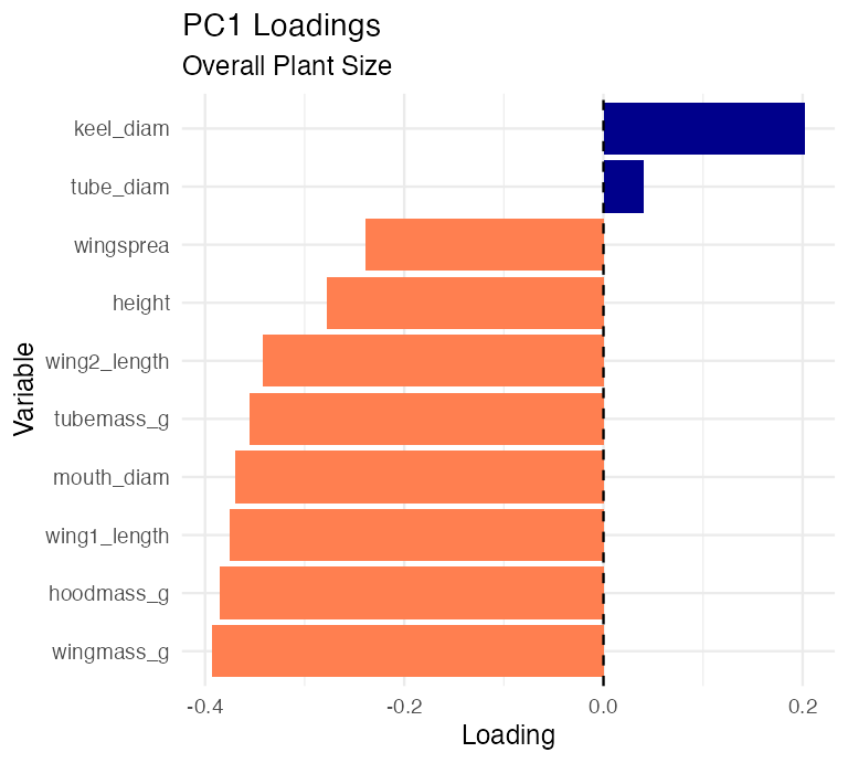 Horizontal bar chart of PC1 loadings for each of the 10 variables, colored by sign, showing most variables loading positively (darkblue) and only keel and tube diameter loading negatively (coral), consistent with PC1 representing overall plant size.