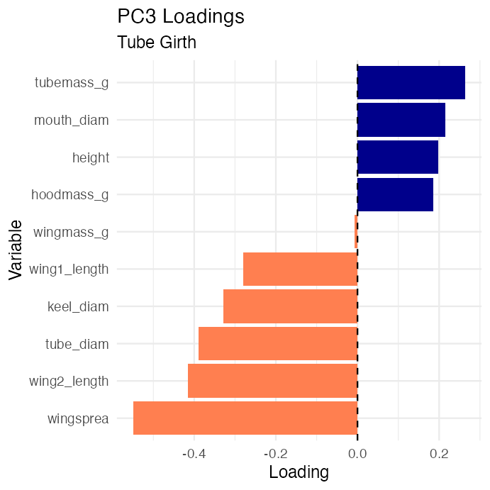 Horizontal bar chart of PC3 loadings for each of the 10 variables, colored by sign, showing tube diameter and keel diameter with strong positive loadings and all other variables near zero, consistent with PC3 representing tube girth.