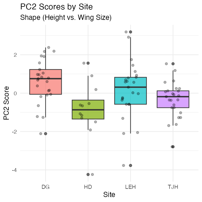 Boxplot of PC2 (shape) scores by site with jittered points overlaid, showing the TJH site's plants scoring differently, consistent with taller, narrower pitchers with smaller wings.