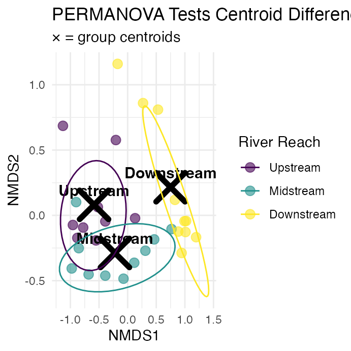 NMDS ordination plot of fish community sites colored by river reach with confidence ellipses, black X marks and text labels showing each reach's group centroid, illustrating the centroid differences PERMANOVA tests.