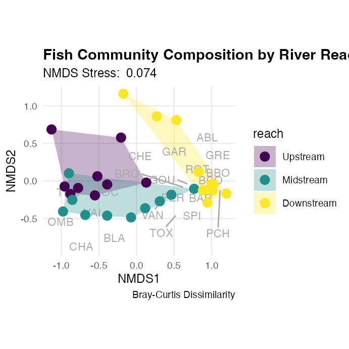 NMDS ordination plot with convex hull polygons drawn around sites in each river reach, species names plotted as grey text labels, and site points colored by reach, showing fish community composition structured along the river.