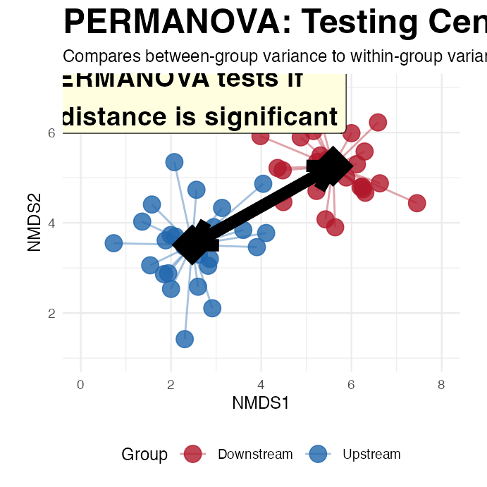 Scatterplot of two simulated groups with lines connecting each point to its group centroid and a double-headed arrow between the two centroids, illustrating that PERMANOVA tests whether the distance between group centroids is significant.
