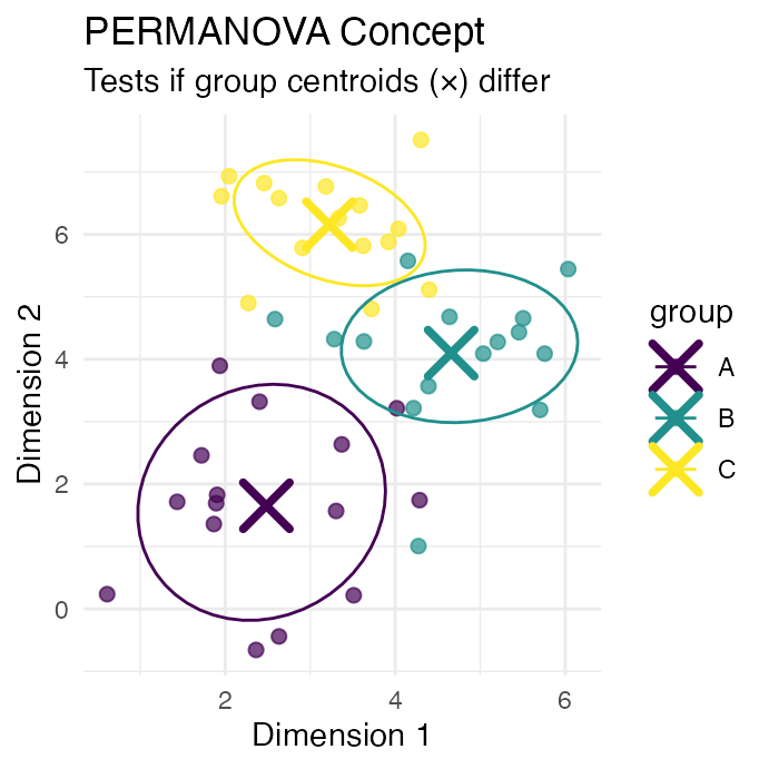 Scatterplot of three simulated groups with confidence ellipses and X marks showing each group's centroid, illustrating the concept PERMANOVA tests: whether group centroids differ.