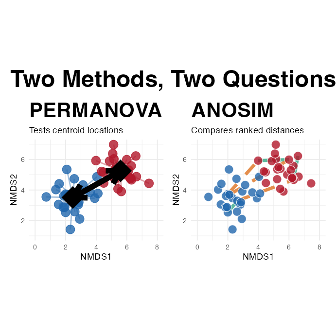Two side-by-side scatterplots of the same simulated two-group data: the left panel shows the PERMANOVA view with centroid distances, the right panel shows the ANOSIM view with within- versus between-group distance lines.