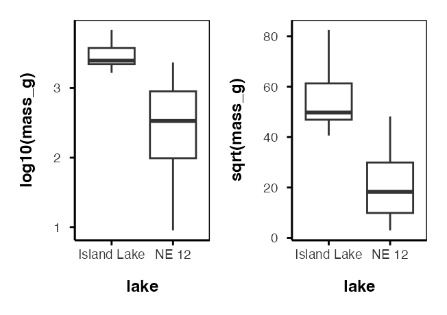 Side-by-side boxplots comparing log10-transformed and square-root-transformed trout mass for Lake NE 12 and Island Lake.