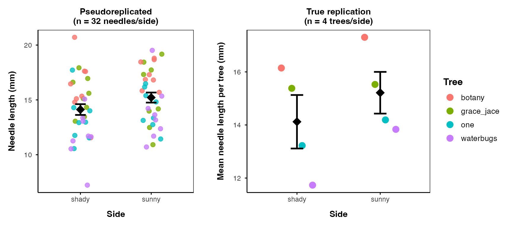 Two side-by-side scatterplots comparing pseudoreplicated versus properly replicated analysis of the same pine needle data, shady versus sunny side, each point colored by tree. The left panel treats all 32 needles per side as independent replicates, with a narrow black error bar on the mean. The right panel treats each tree's own mean as the true replicate (4 trees per side), with a visibly wider black error bar, showing the honest uncertainty.