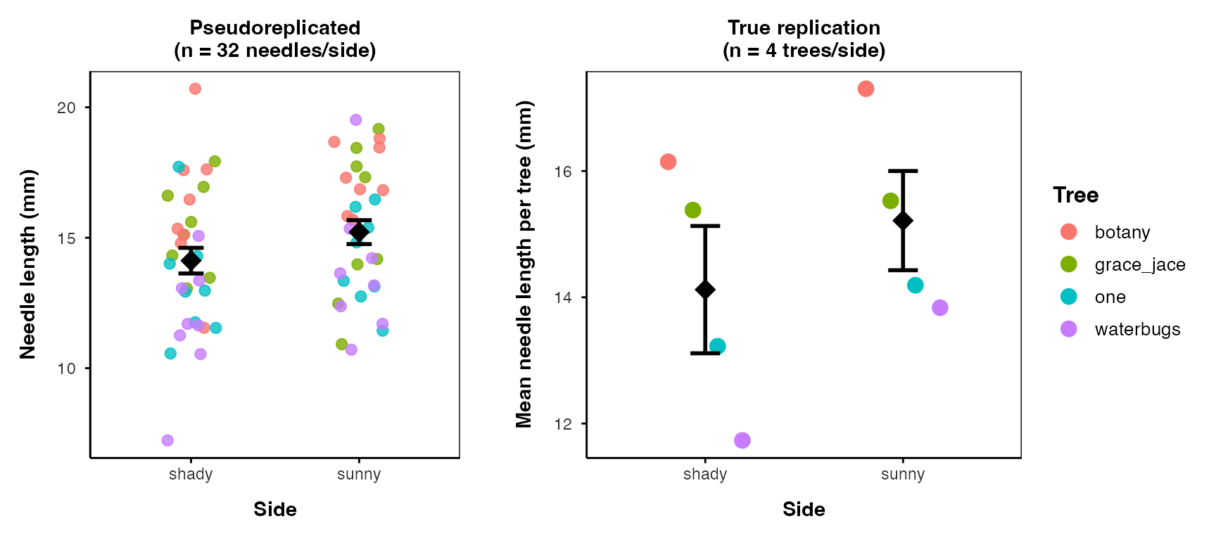 Two side-by-side scatterplots comparing pseudoreplicated versus properly replicated analysis of the same pine needle data, shady versus sunny side, each point colored by tree. The left panel treats all 32 needles per side as independent replicates, with a narrow black error bar on the mean. The right panel treats each tree's own mean as the true replicate (4 trees per side), with a visibly wider black error bar, showing the honest uncertainty.