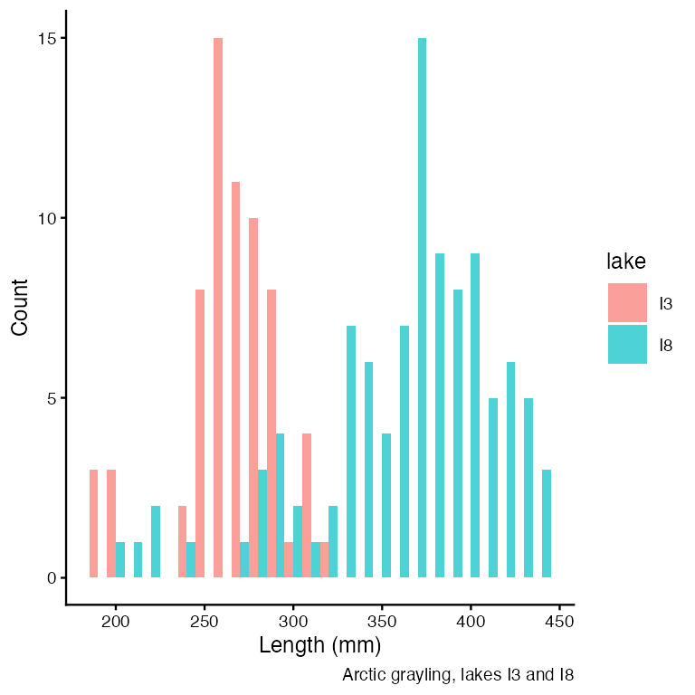 Dodged histogram of Arctic grayling length in millimeters, coloured by lake (I3 and I8), showing the distribution of fish lengths for each lake.