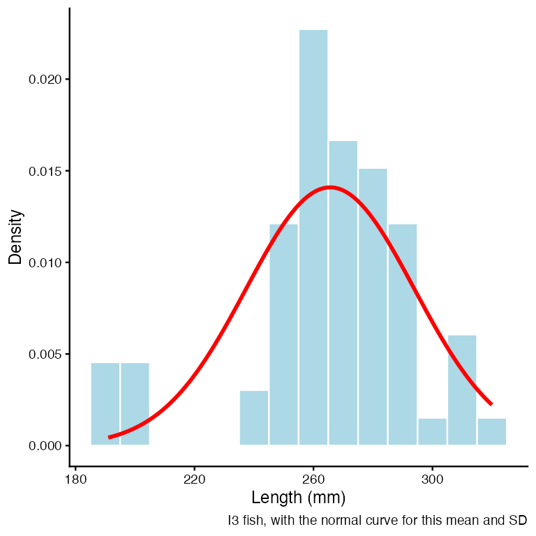 Histogram of Lake I3 grayling lengths on the density scale with a red normal curve, using the sample mean and standard deviation, drawn over the top.