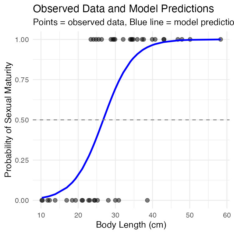 Scatterplot of observed maturity (points) versus body length with a blue line showing the model's predicted probability of maturity, and a dashed gray horizontal reference line at the 50% probability threshold.
