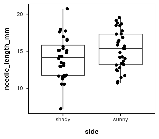 Boxplot of needle length for the shady and sunny sides using all 64 raw needle measurements, with every needle plotted as a jittered point in front of the box, showing wide and heavily overlapping spread.