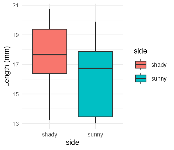 The boxplot of pine needle length by side of tree, repeated here as a lead-in to the two-sample t-test comparing the two sides.
