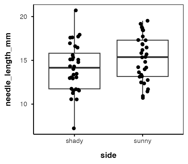 Boxplot of needle length for the shady and sunny sides using all 64 raw needle measurements, with every needle plotted as a jittered point in front of the box, showing wide and heavily overlapping spread.