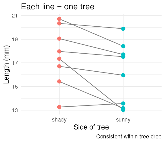 Slope plot showing each team's tree as a line connecting its shady value to its sunny value; nearly every line slopes downward from shady to sunny, showing a consistent within-tree effect even though the two groups overlap heavily overall.