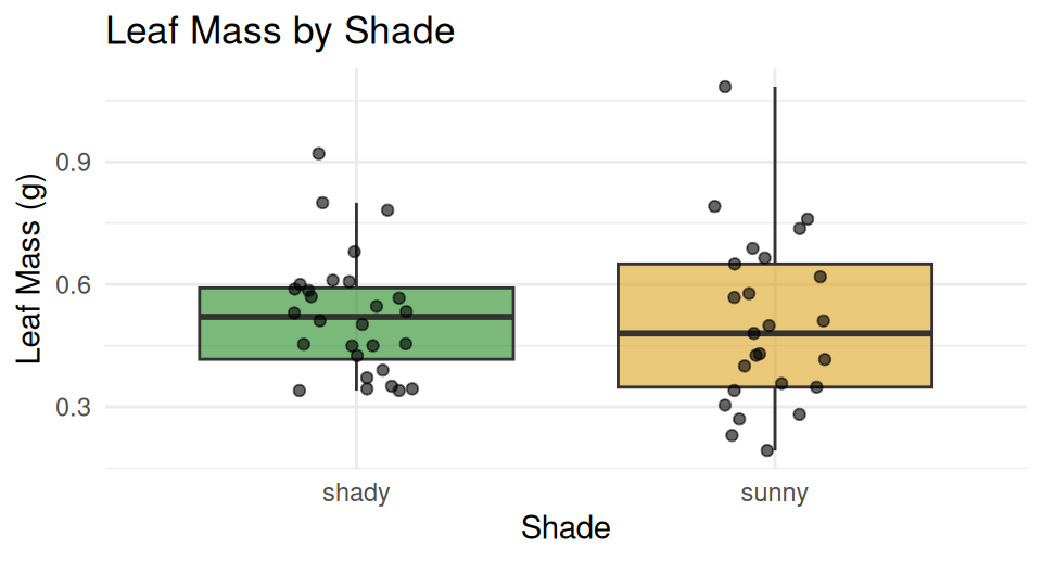 Boxplot of leaf mass in grams by shade with jittered points, using custom gold and forest-green colors for sunny and shady respectively.