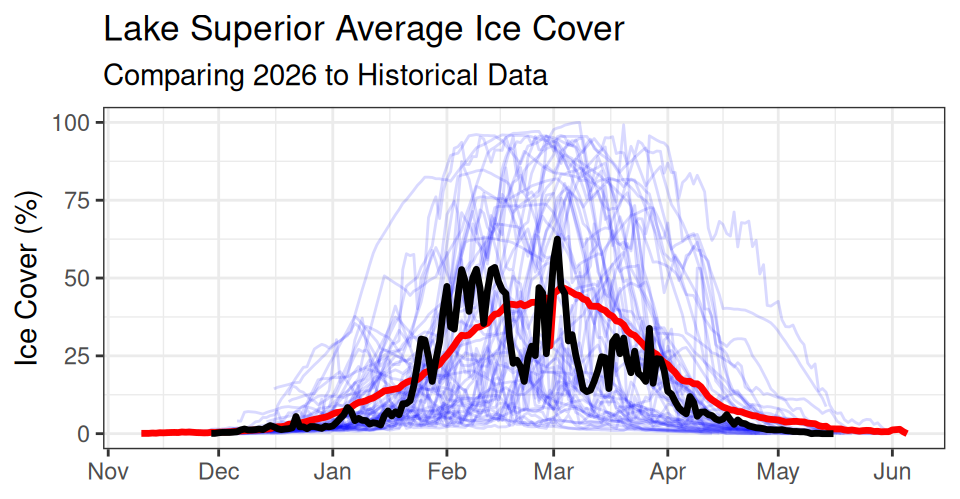 Line plot of Lake Superior ice cover by day of winter (November through May). Many thin, semi-transparent blue lines each trace one past winter; a thick red line shows the historical daily average; a thick black line traces the current winter, drawn on top of the others. The y-axis is percent ice cover.