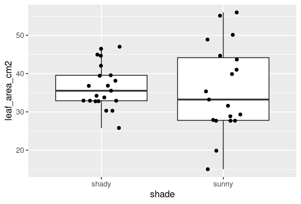 Box plot of predicted leaf area in square centimetres for shady and sunny leaves with the individual leaves jittered over the boxes. The two boxes overlap almost completely.