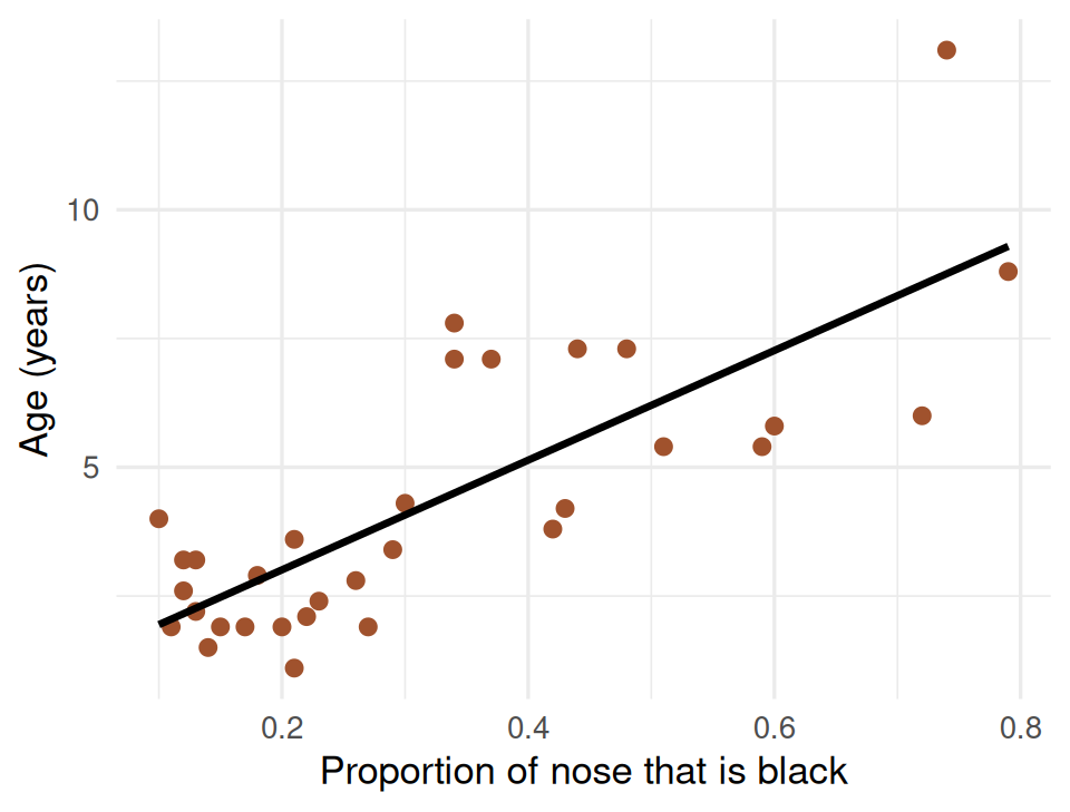 Scatter plot of lion age in years against the proportion of the nose that is black, for 32 lions, with an upward-sloping least-squares line through the points. The points scatter noticeably around the line.