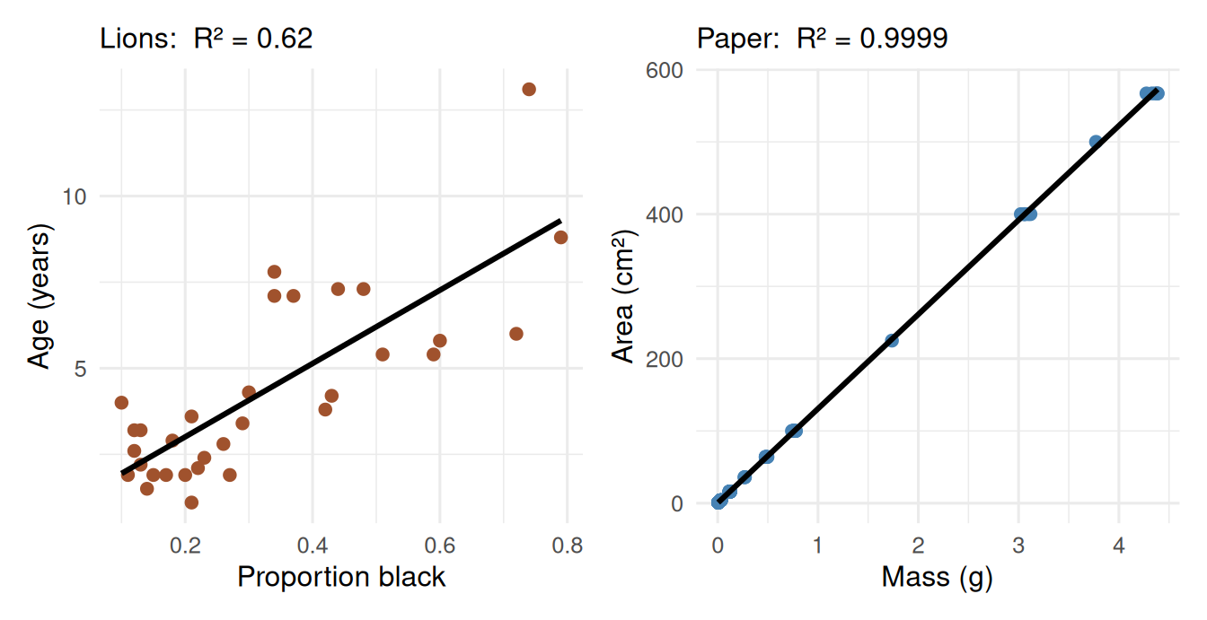 Two scatter plots side by side. Left: lion age against nose blackness with a fitted line and clearly scattered points, labelled R-squared equals 0.62. Right: paper area against paper mass with a fitted line and points sitting almost exactly on it, labelled R-squared equals 0.9999.