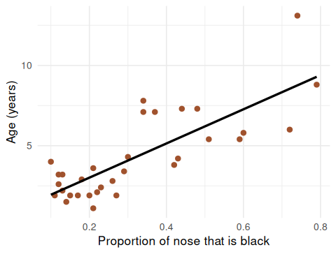 Scatter plot of lion age in years against the proportion of the nose that is black, for 32 lions, with an upward-sloping least-squares line through the points. The points scatter noticeably around the line.