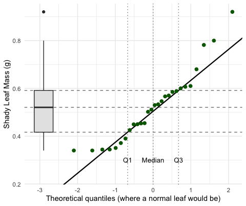 QQ plot of shady-side leaf mass with a box plot of the same data drawn on its left edge. Dashed horizontal lines run from the box plot's quartiles across the QQ plot, meeting the points near theoretical values of minus 0.67, 0 and 0.67. Most points follow the straight reference line, but the largest few leaves bend upward above it.