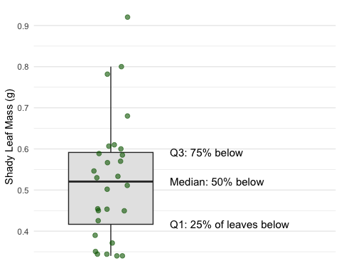 Box plot of shady-side leaf mass with jittered points, with labels pointing to the lower quartile (25 percent of leaves below), median (50 percent below), and upper quartile (75 percent below).
