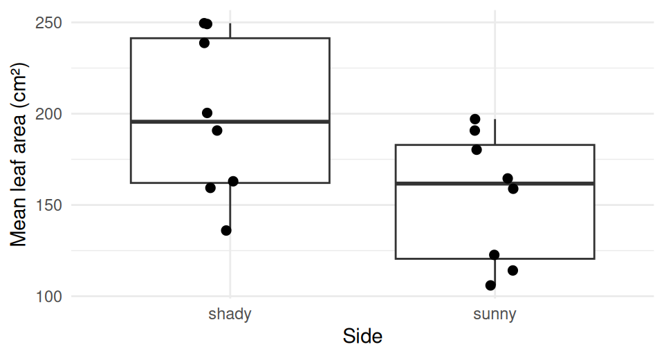 Box plot of mean leaf area per tree for shady and sunny sides with the eight tree means as points; the boxes overlap heavily.