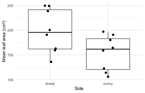 Box plot of mean leaf area per tree for shady and sunny sides with the eight tree means as points; the boxes overlap heavily.